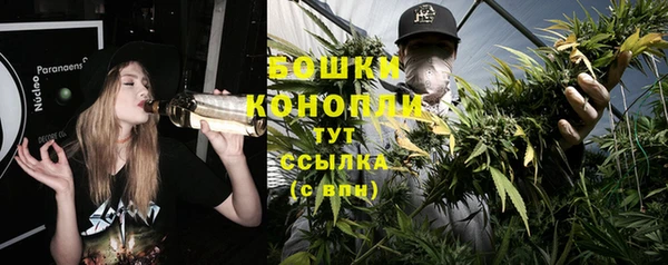 крисы Рославль